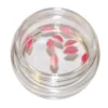 Ceramic 3D Kiss 10pcs. in jars nr.14