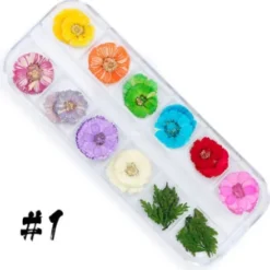 Dry Flower set - 1
