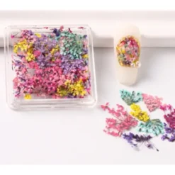 1 - Dry Nail Flower Fragments