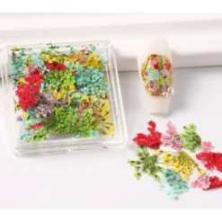 2 - Dry Nail Flower Fragments