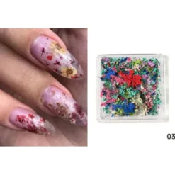 3 - Dry Nail Flower Fragments