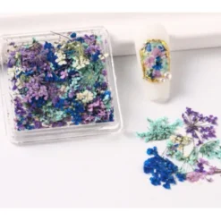 4 - Dry Nail Flower Fragments