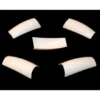 European White Tips 500 in Box