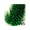 Nail Art Feather Green