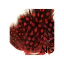 Nail Art Feather Red