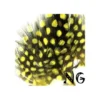 Nail Art Feather Yellow